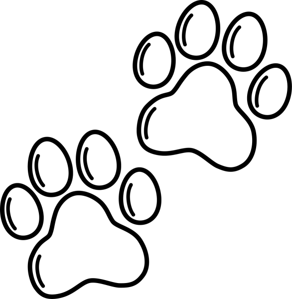 Dog Paw Prints coloring page image