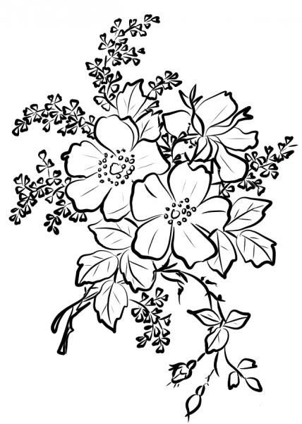 Dog Rose Flowers coloring page image