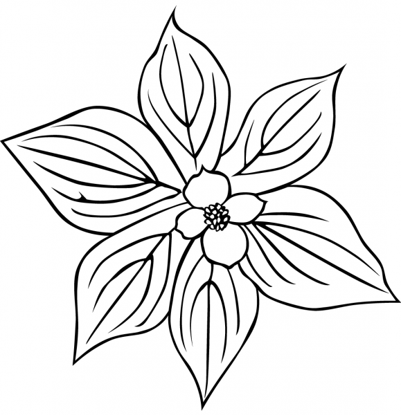 Dogwood Flower coloring page image