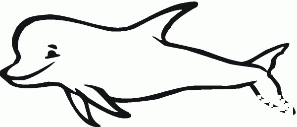 Dolphin 19 coloring page image