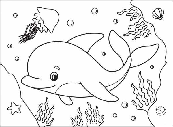 Dolphin coloring page image