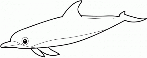 Dolphin  coloring page image