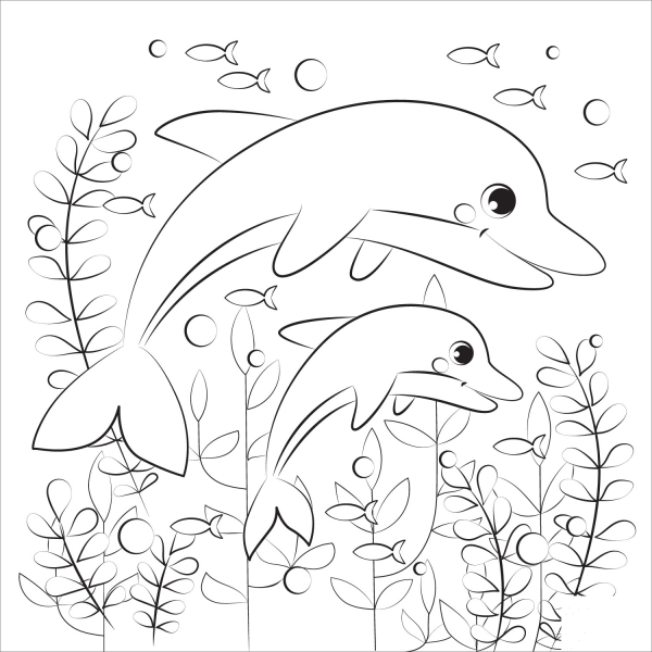 Dolphin coloring page image
