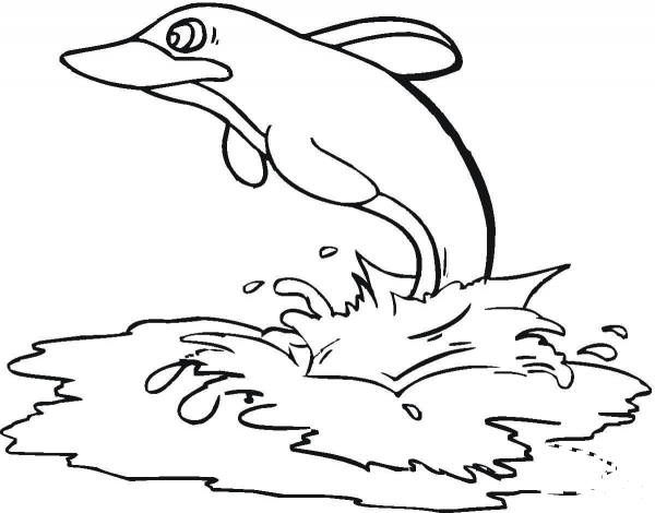Dolphin In The Sea  coloring page image