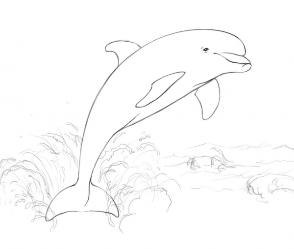 Dolphin Jumping from Water coloring page image