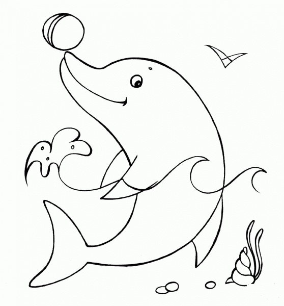 Dolphin With The Ball coloring page image