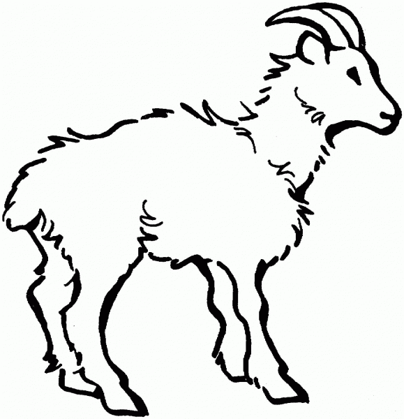 Domestic Goat 1 coloring page image