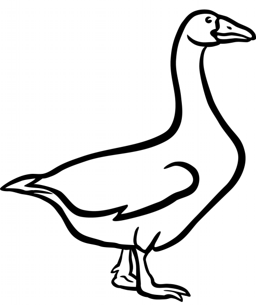 Domestic goose coloring page image
