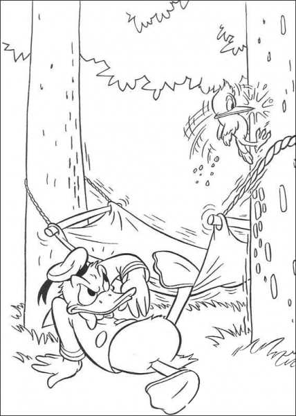 Donald And Woodpecker  coloring page image
