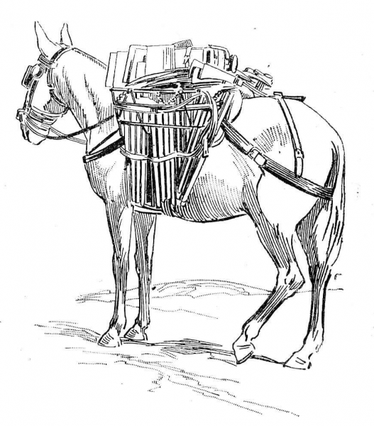 Donkey 5 coloring page image