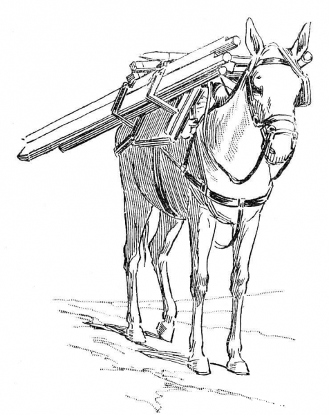 Donkey Carrying Load coloring page image
