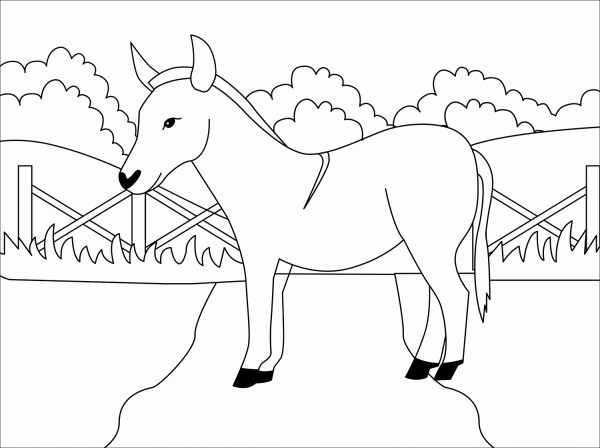 Donkey coloring page image