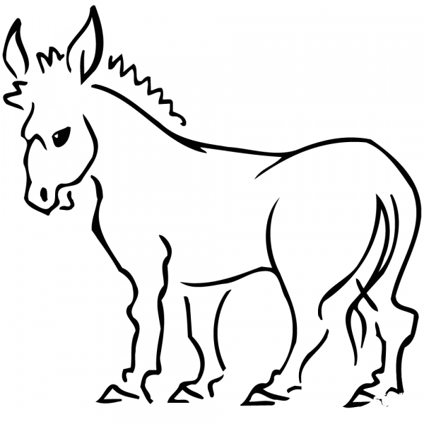 Donkey coloring page image