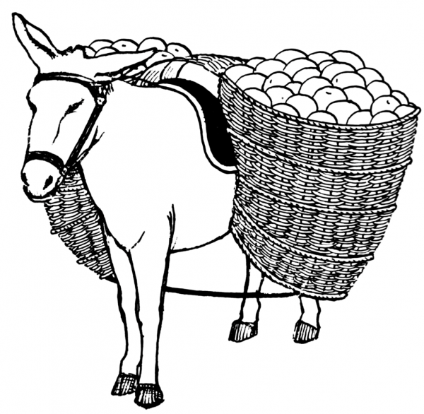 Donkey with Pannier coloring page image