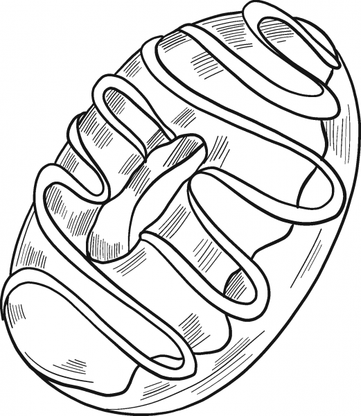Donut coloring page image