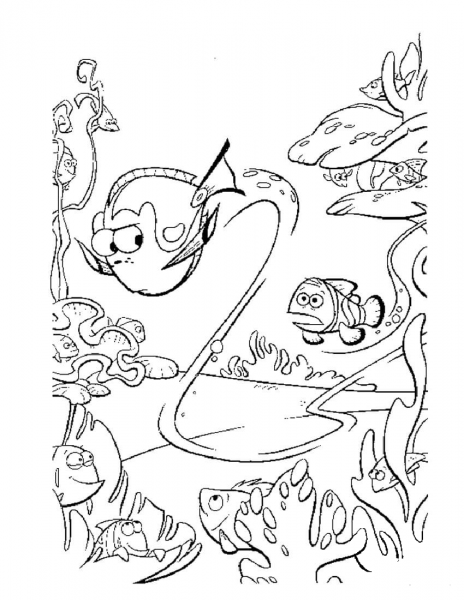 Dory Swims Too Fast  coloring page image