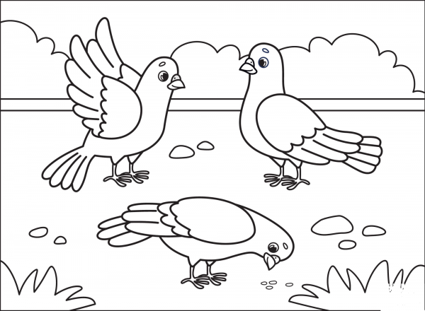 Dove coloring page image
