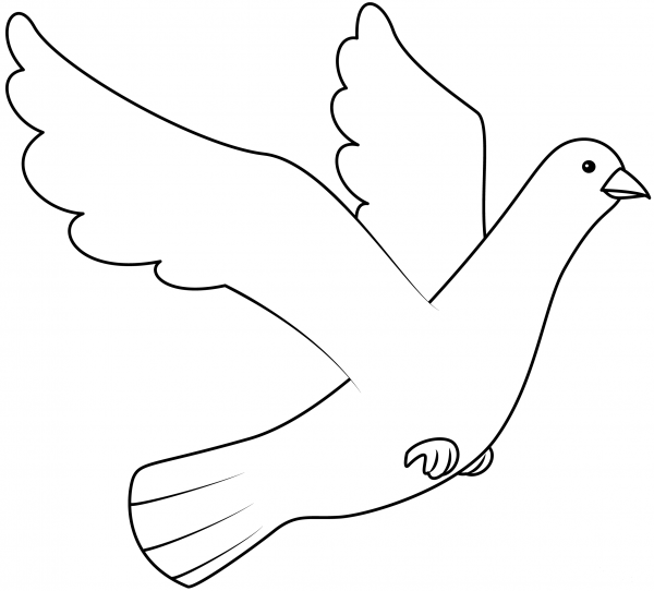 Dove coloring page image