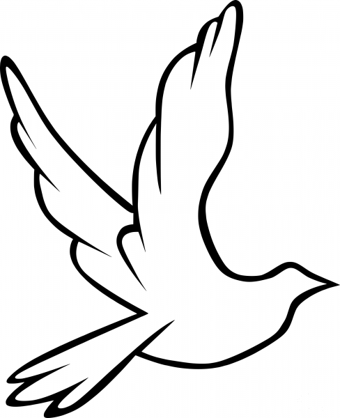 Dove coloring page image