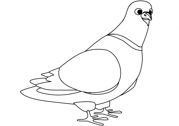 Dove coloring page image