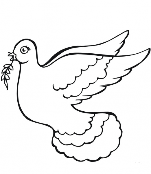 Dove Holding Olive Branch coloring page image