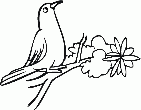 Dove On A Tree coloring page image