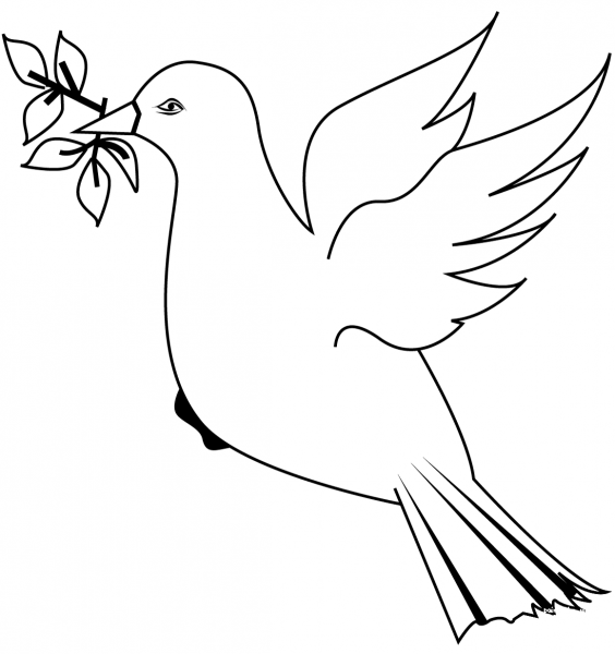 Dove with Branch coloring page image