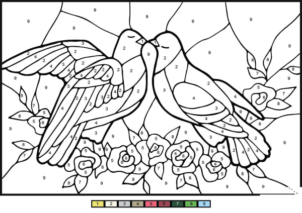 Doves Color by Number image