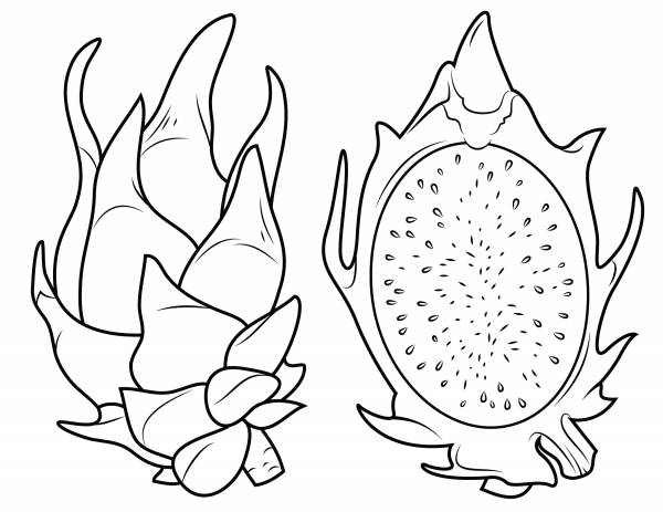 Dragon Fruit and Its Cross Section coloring page image