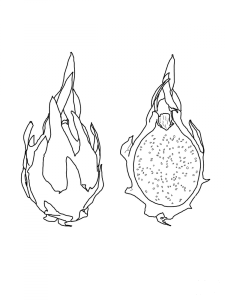 Dragon Fruit coloring page image