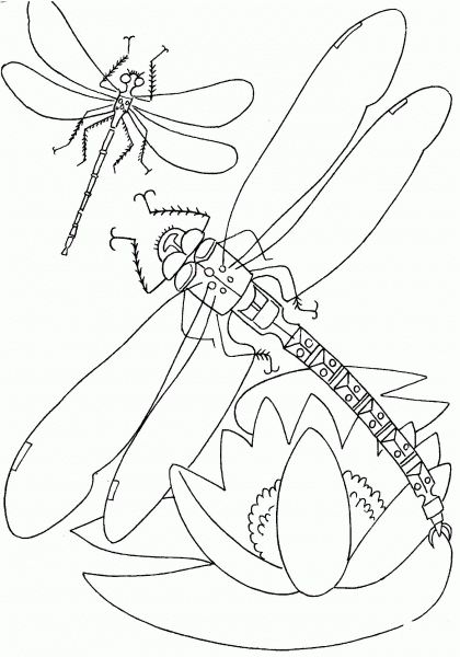 Dragonfly Above The Flower coloring page image