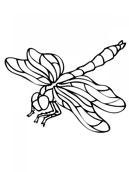 Dragonfly coloring page image