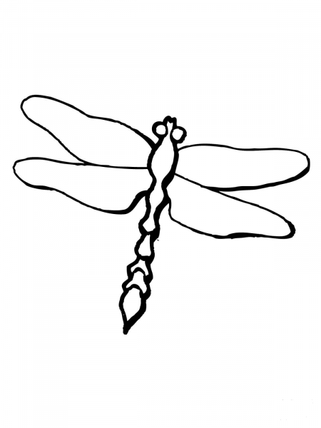 Dragonfly Odonta Epiprocta coloring page image