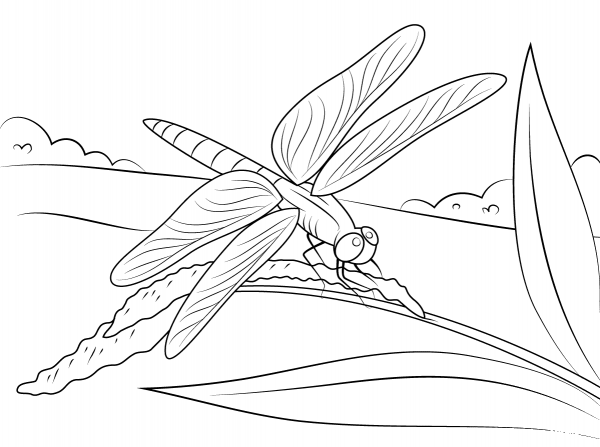Dragonfly Sits on Stem coloring page image