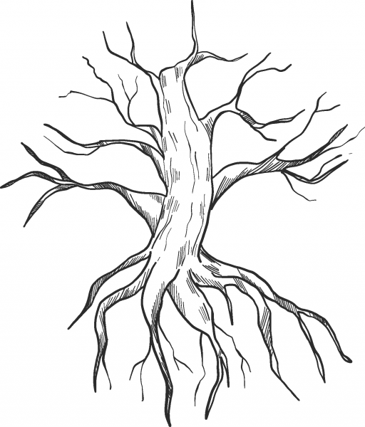 Dried-up Tree with Roots coloring page image