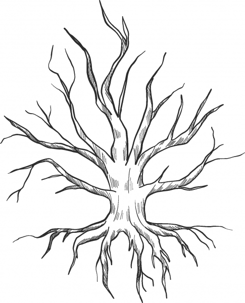 Dried-up Tree with Roots coloring page image