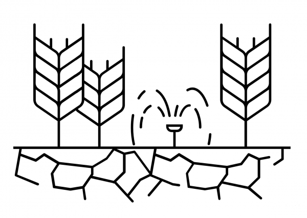 Drought coloring page image