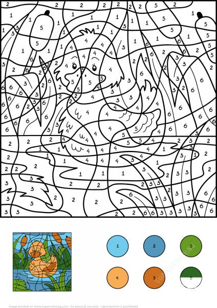 Duck Color by Number image