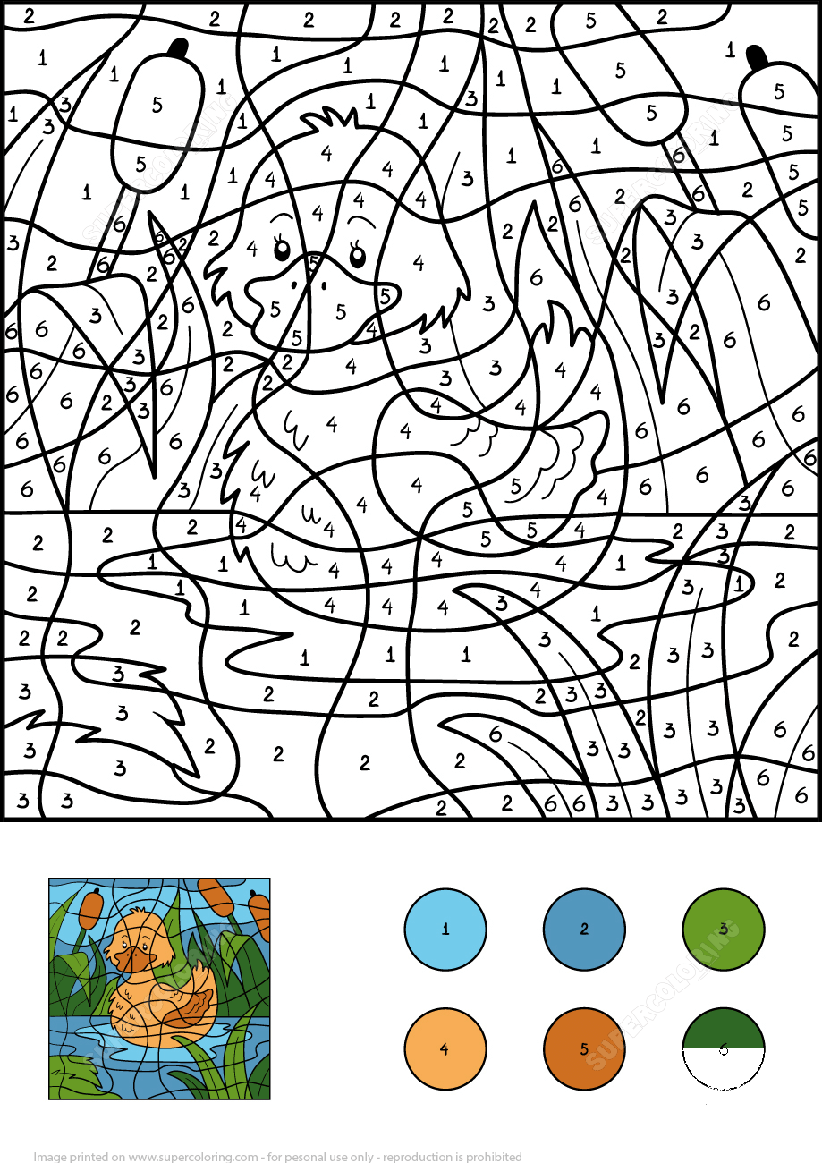 Duck Color by Number - ColouringPages