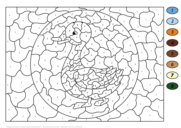 Duck Color by Number image