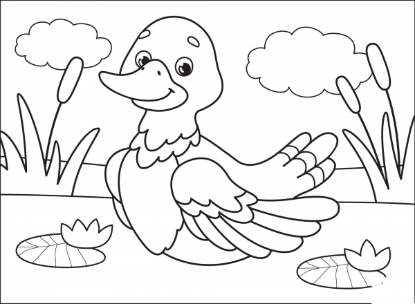 Duck coloring page image