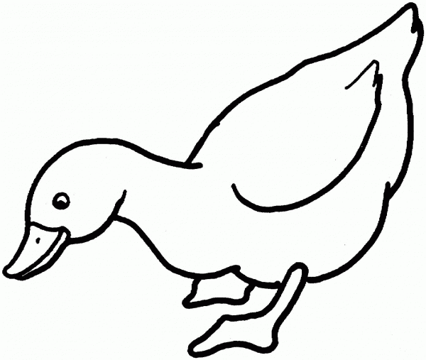 Duck coloring page image