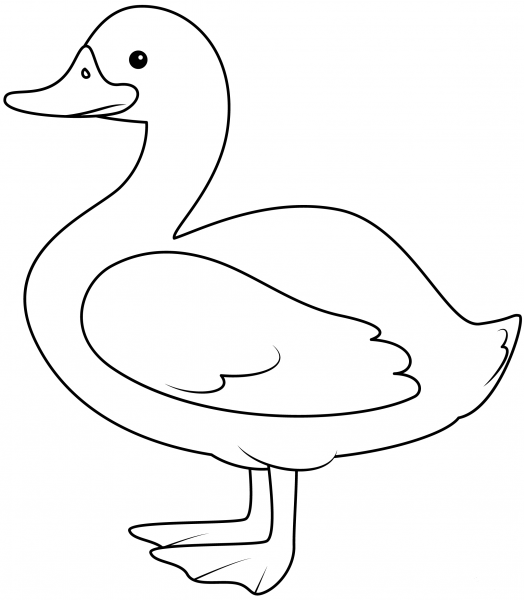 Duck coloring page image