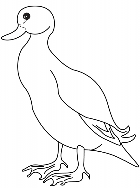 Duck coloring page image