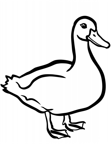 Duck coloring page image