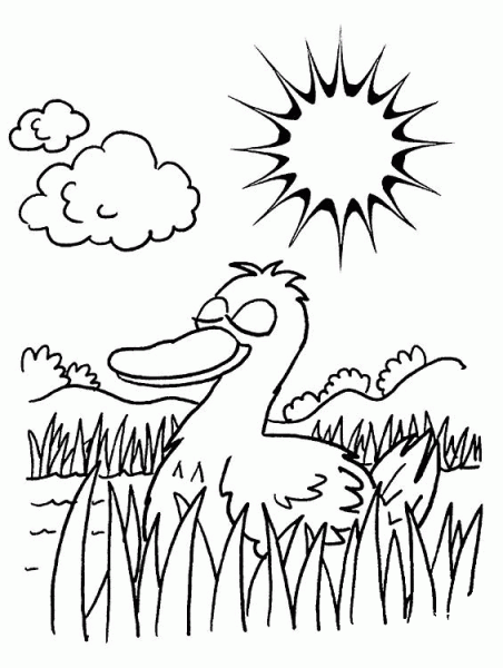 Duck in a pond coloring page image