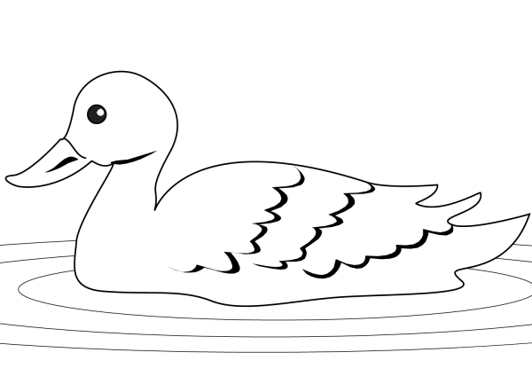 Duck in the Pond coloring page image