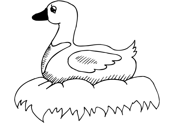 Duck on Nest coloring page image
