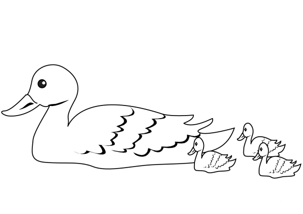 Duck with Ducklings coloring page image