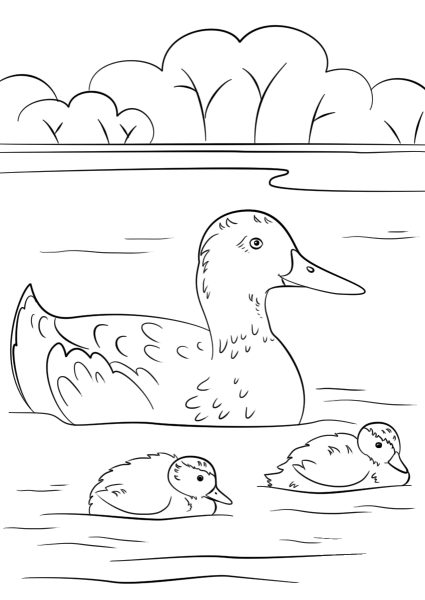 Duck with Ducklings coloring page image